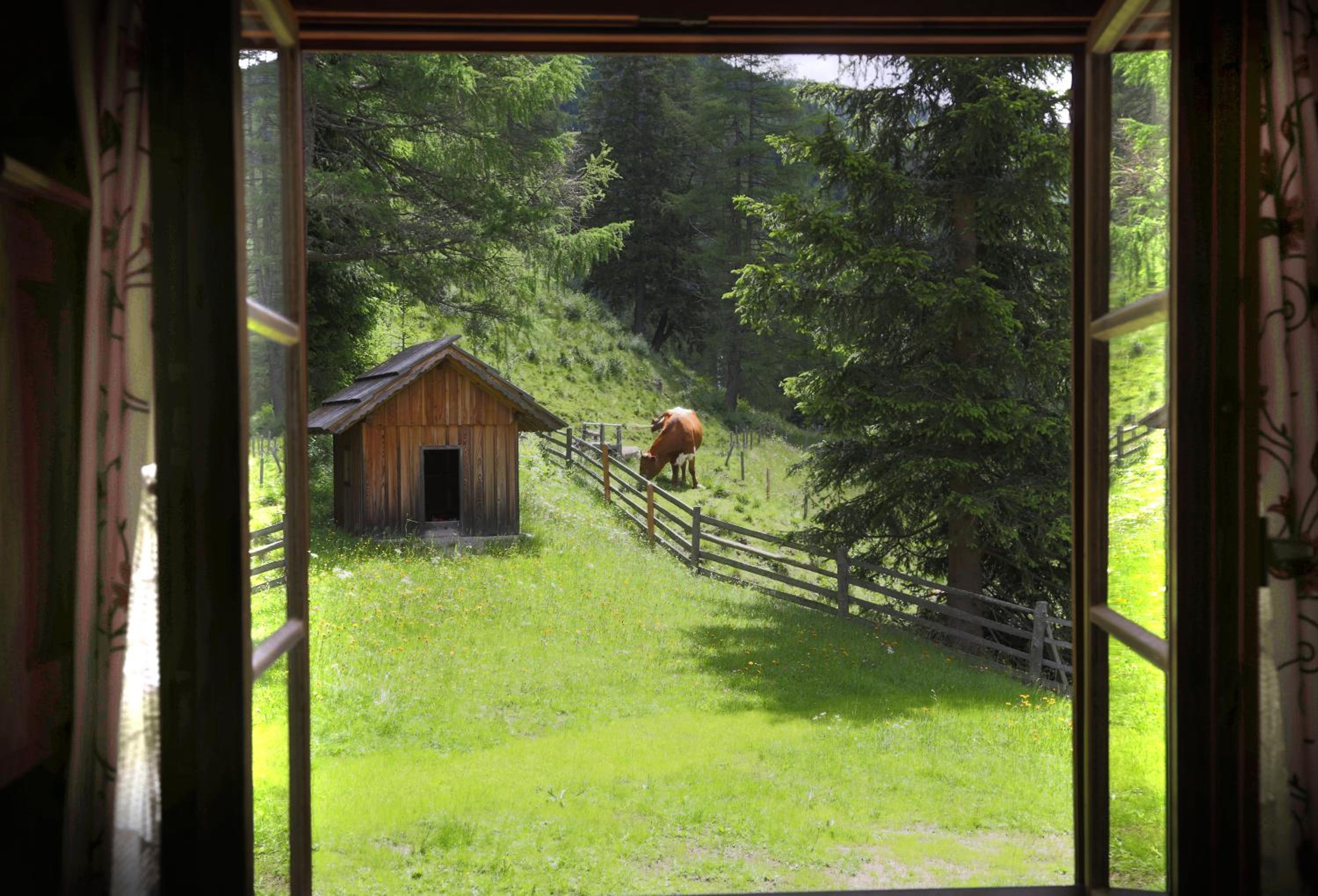 Gasserhütte