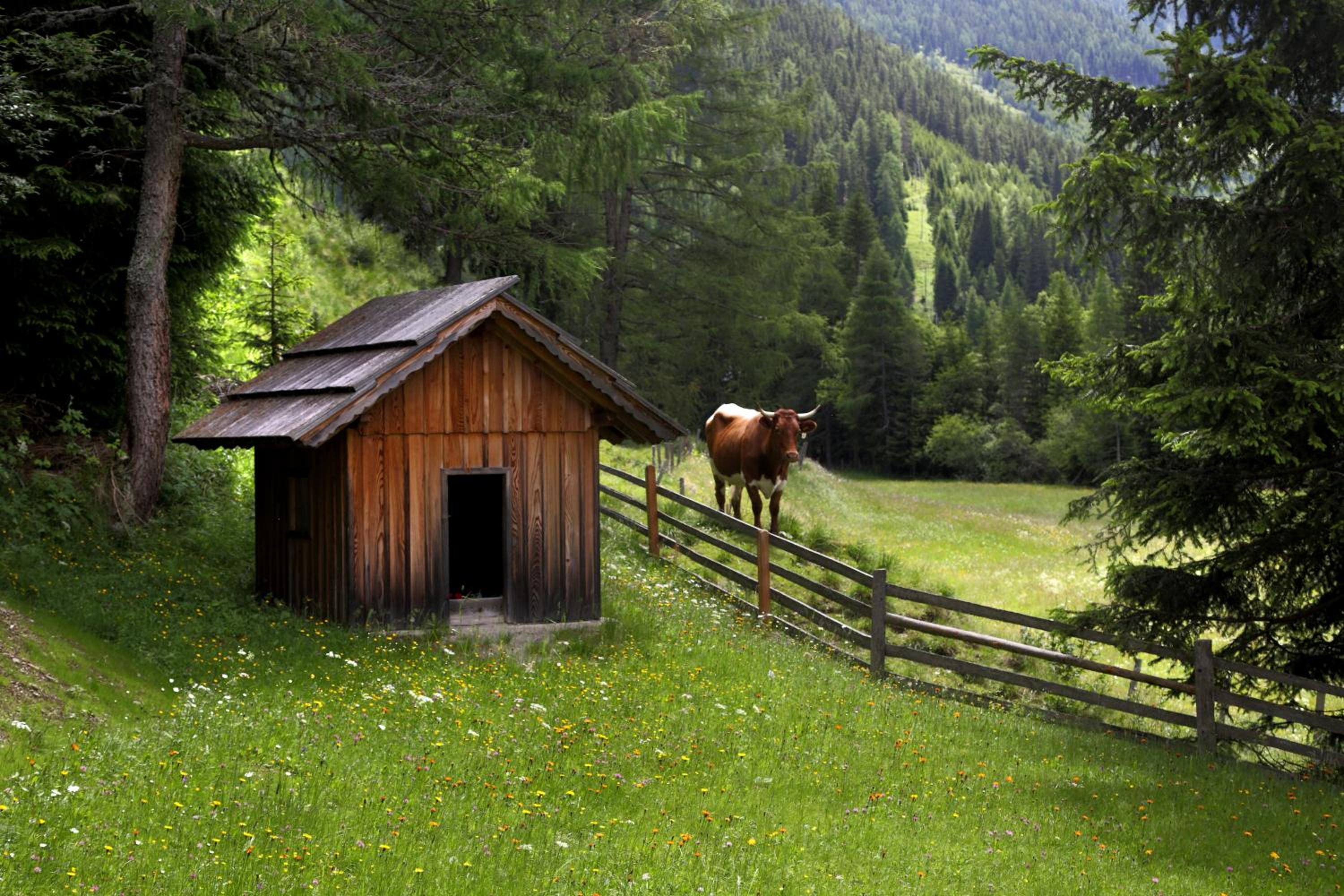 Gasserhütte