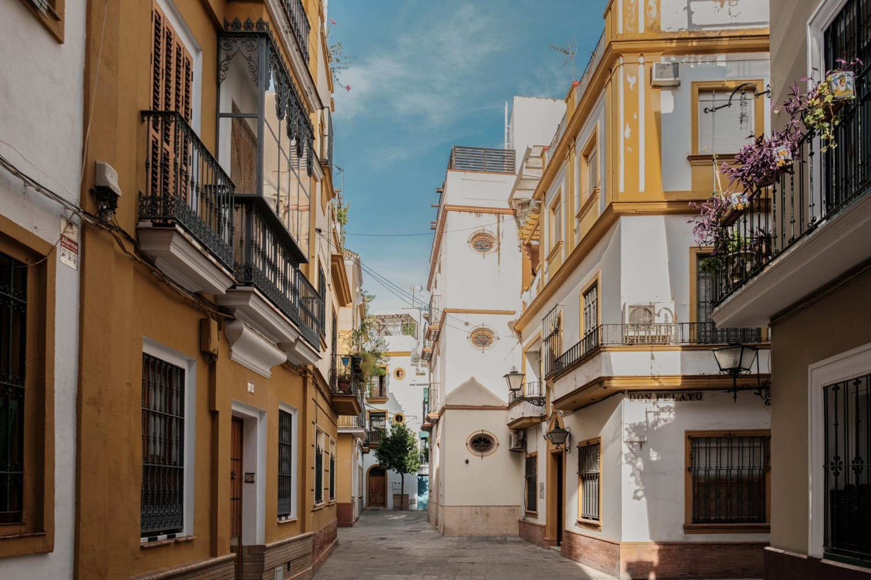 Sevilla DosTorres view 5