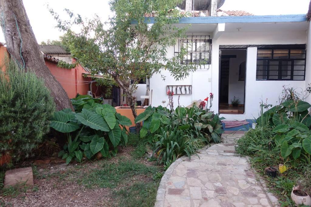 Casa Tzunuun view 4
