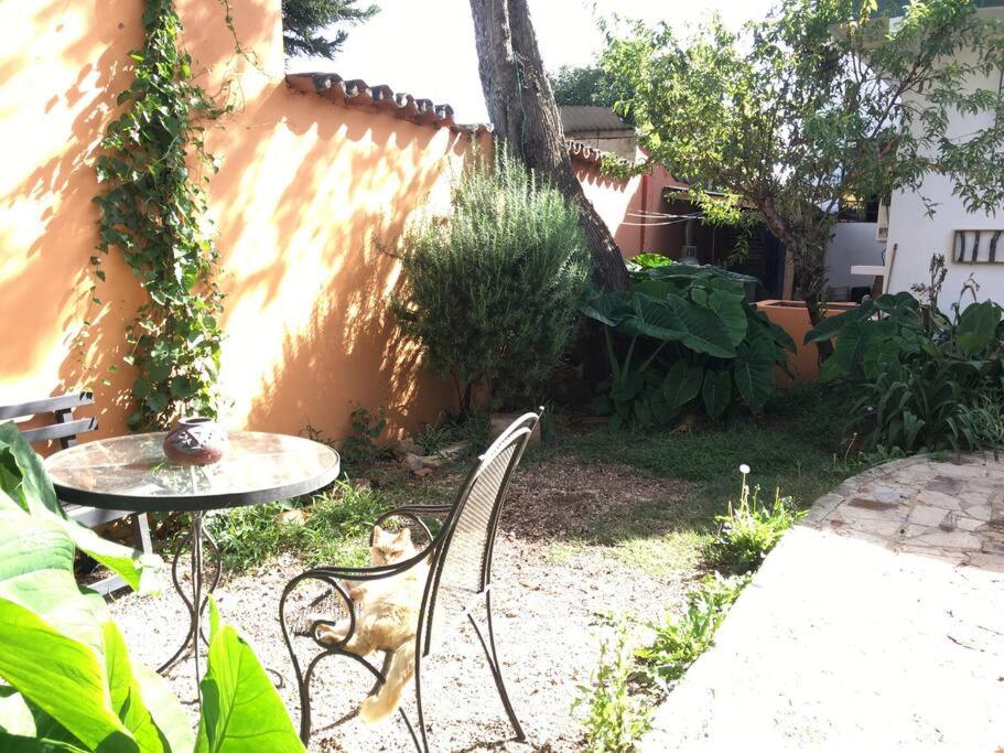 Casa Tzunuun view 3