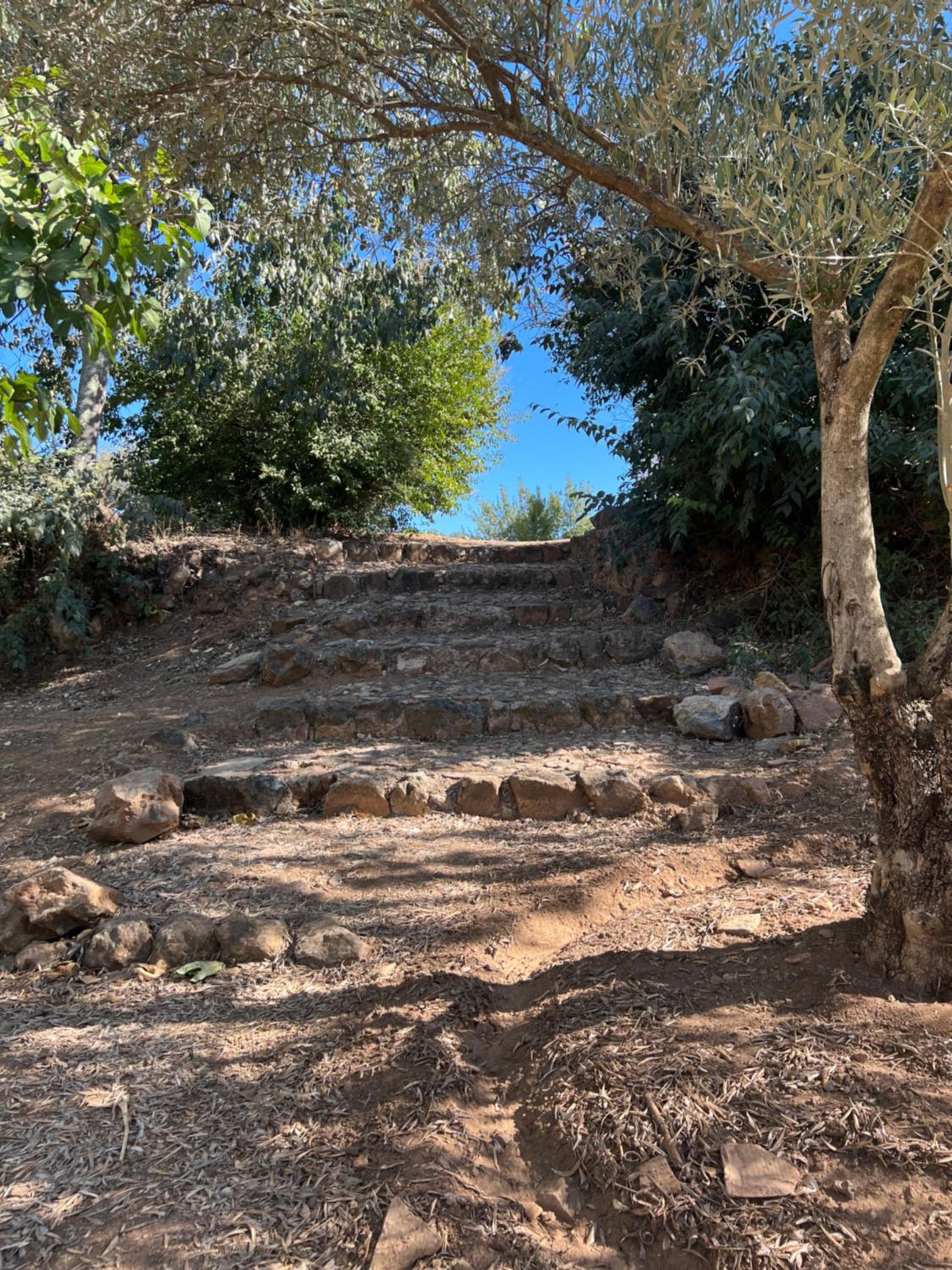 Photo 27