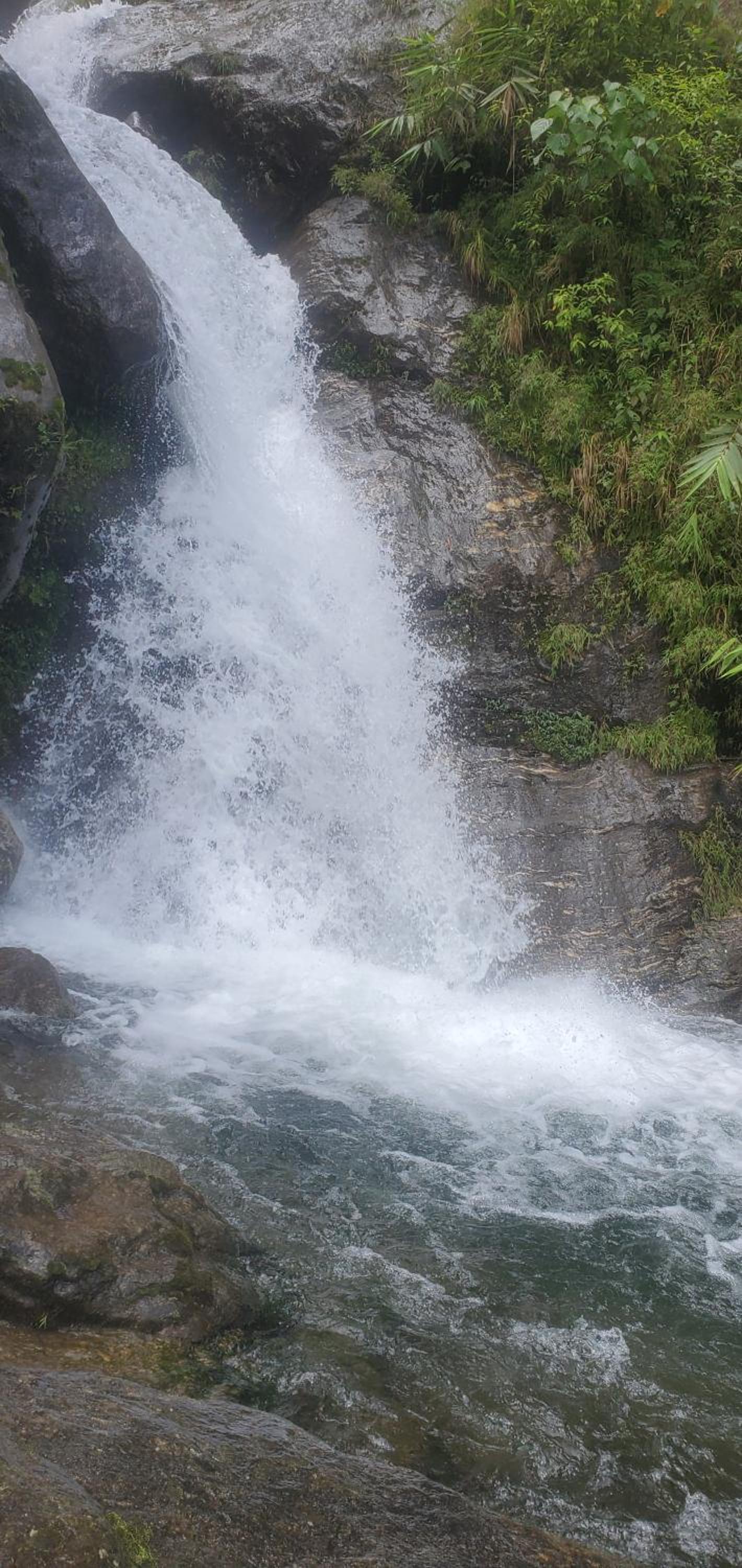 Photo 42