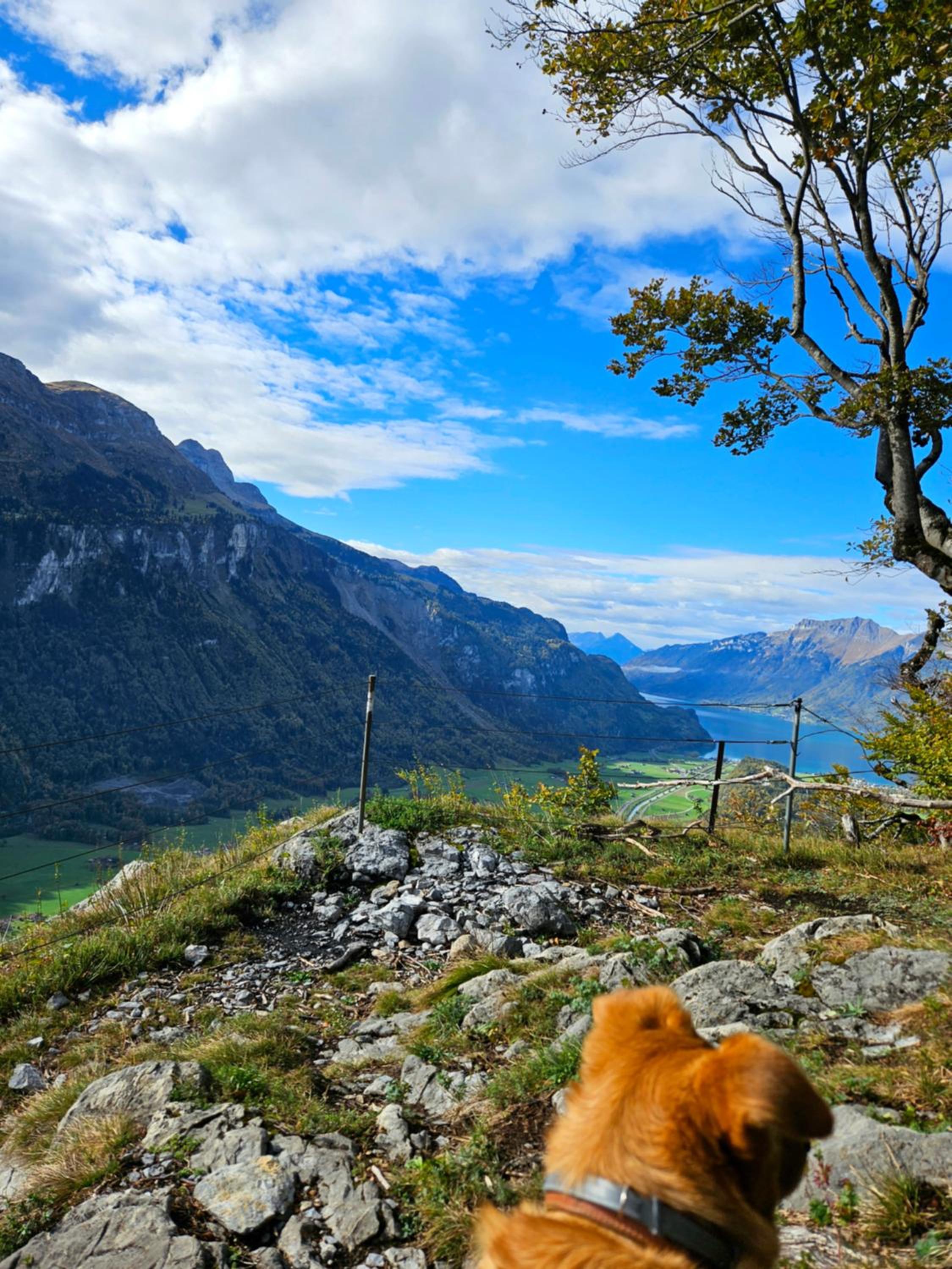 Gemütliche FeWo mit Sauna inmitten der Berge