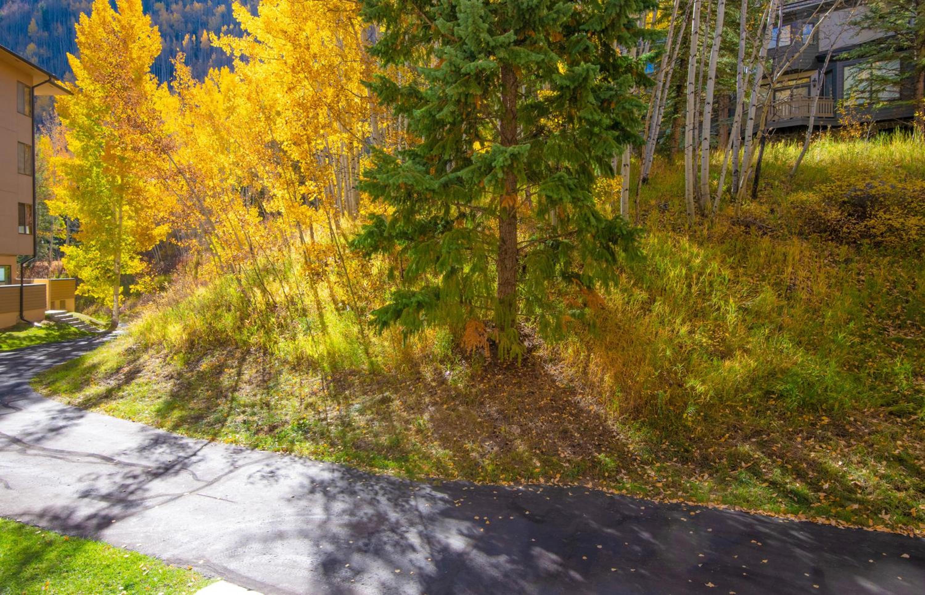 Fall Ridge