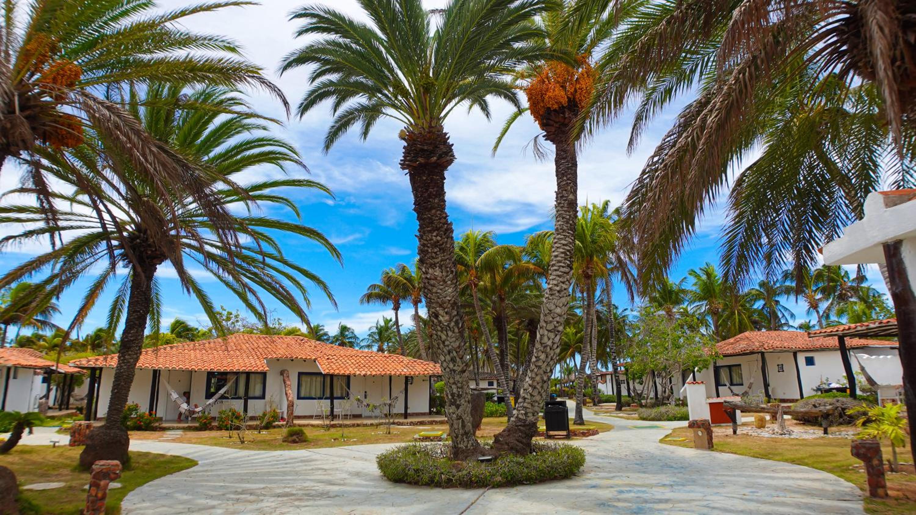 Sunsol Punta Blanca - Photo 40