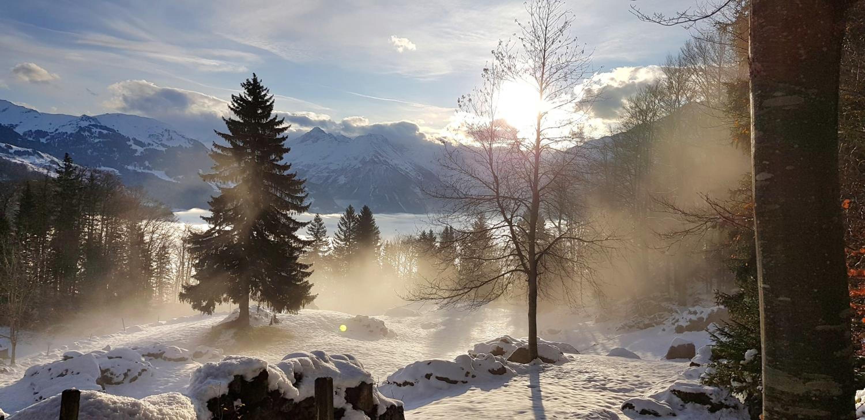Gemütliche FeWo mit Sauna inmitten der Berge