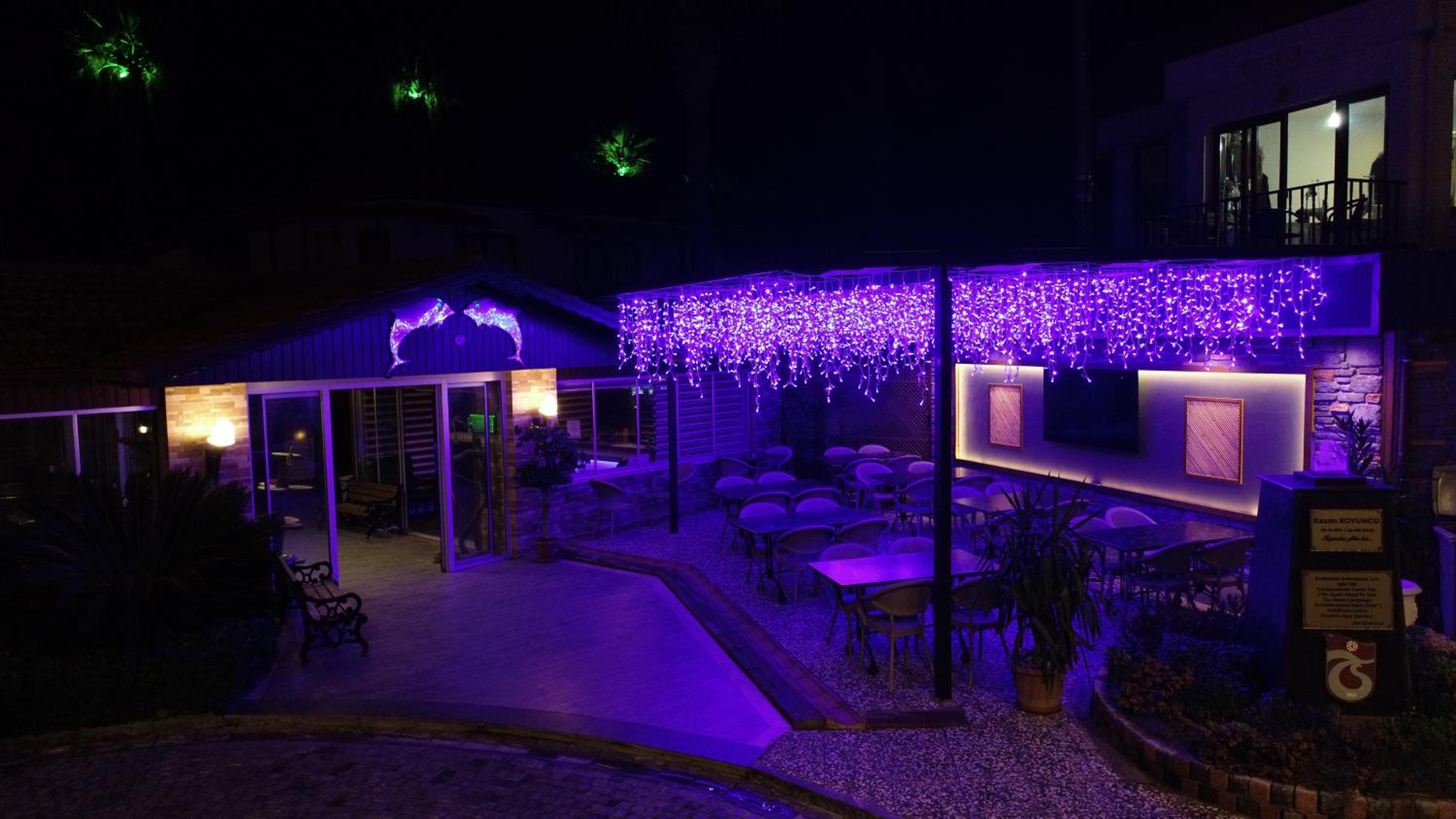 Dolphin Apart Hotel — photo 69