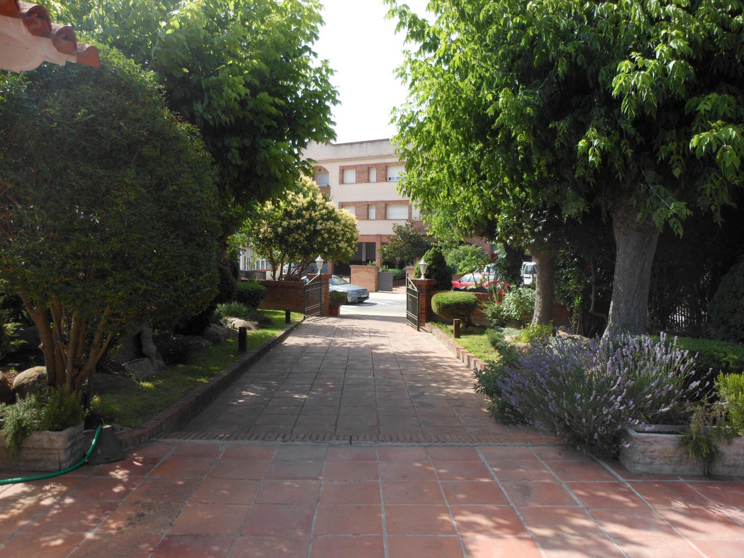 Photo 26