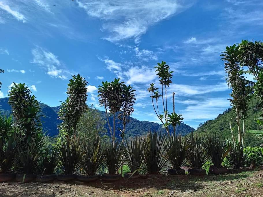 Cabaña Paraíso Verde