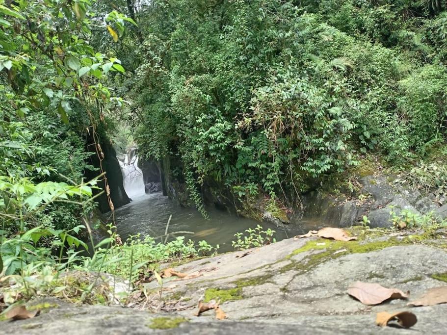 Cabaña Paraíso Verde