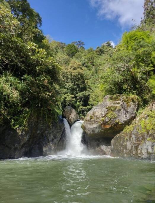 Cabaña Paraíso Verde