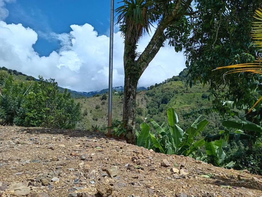Cabaña Paraíso Verde