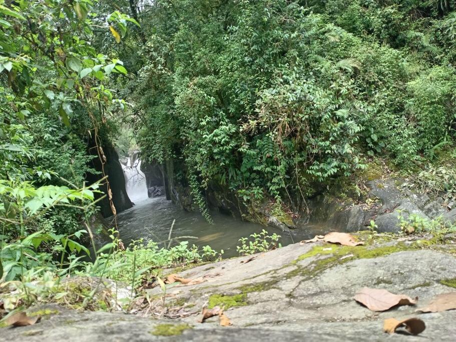 Cabaña Paraíso Verde