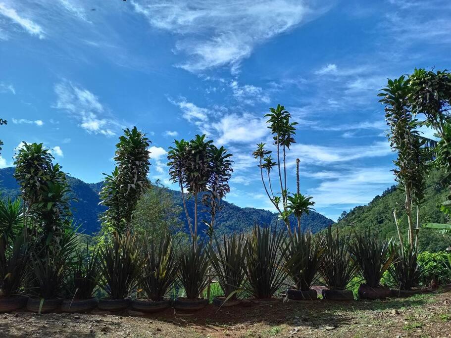 Cabaña Paraíso Verde