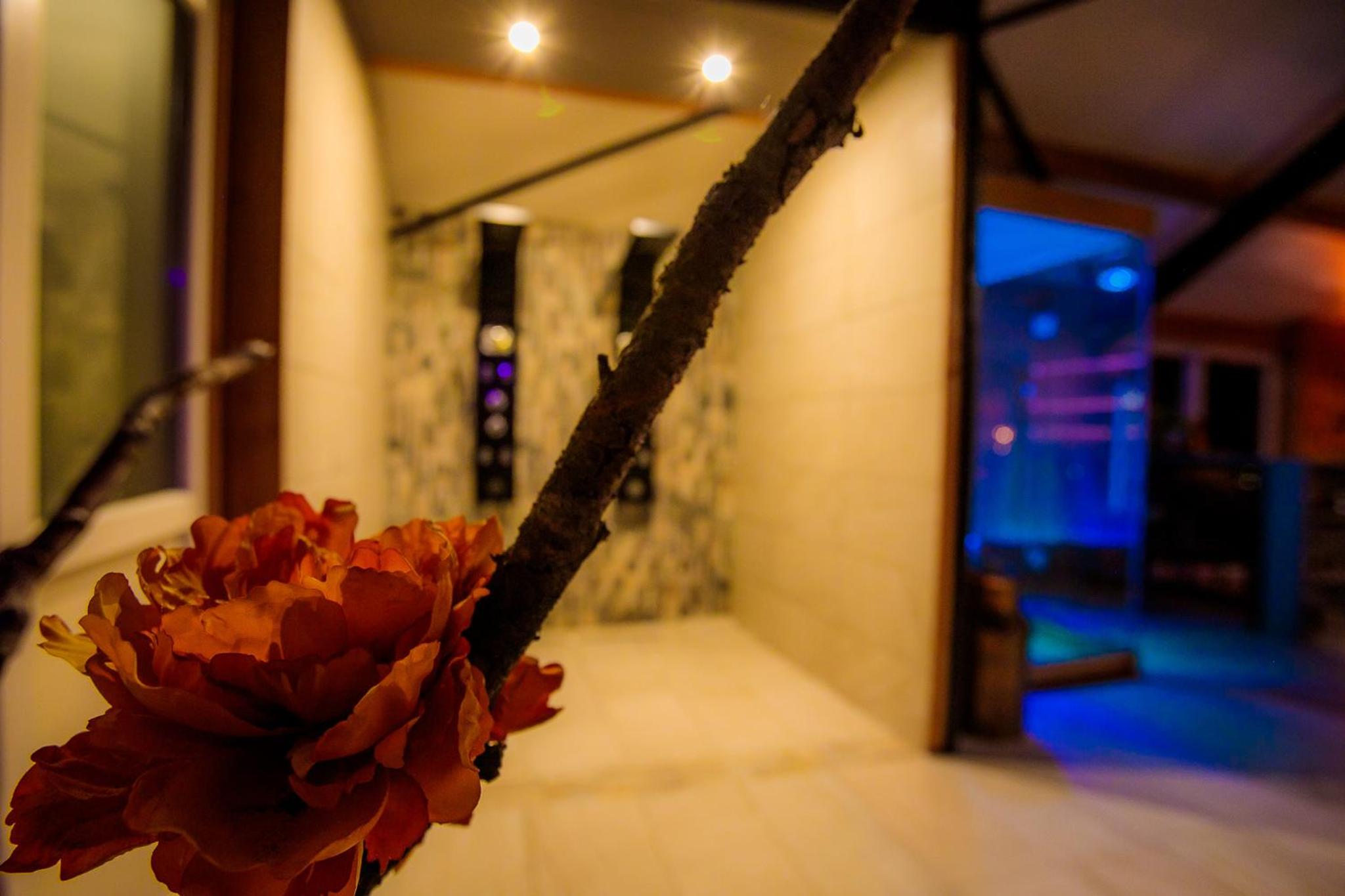 B&B en Wellness de Waalhoeve