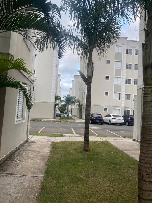 Novíssimo apartamento térreo