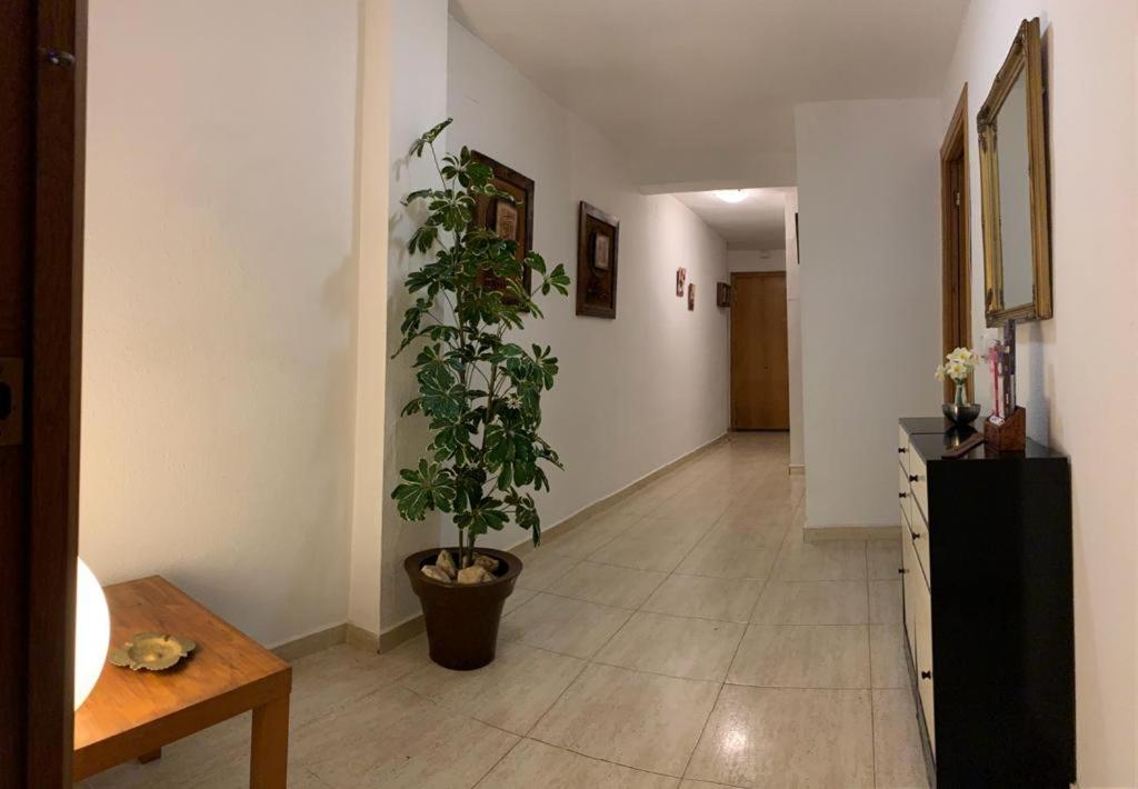 Habitación individual en la playa