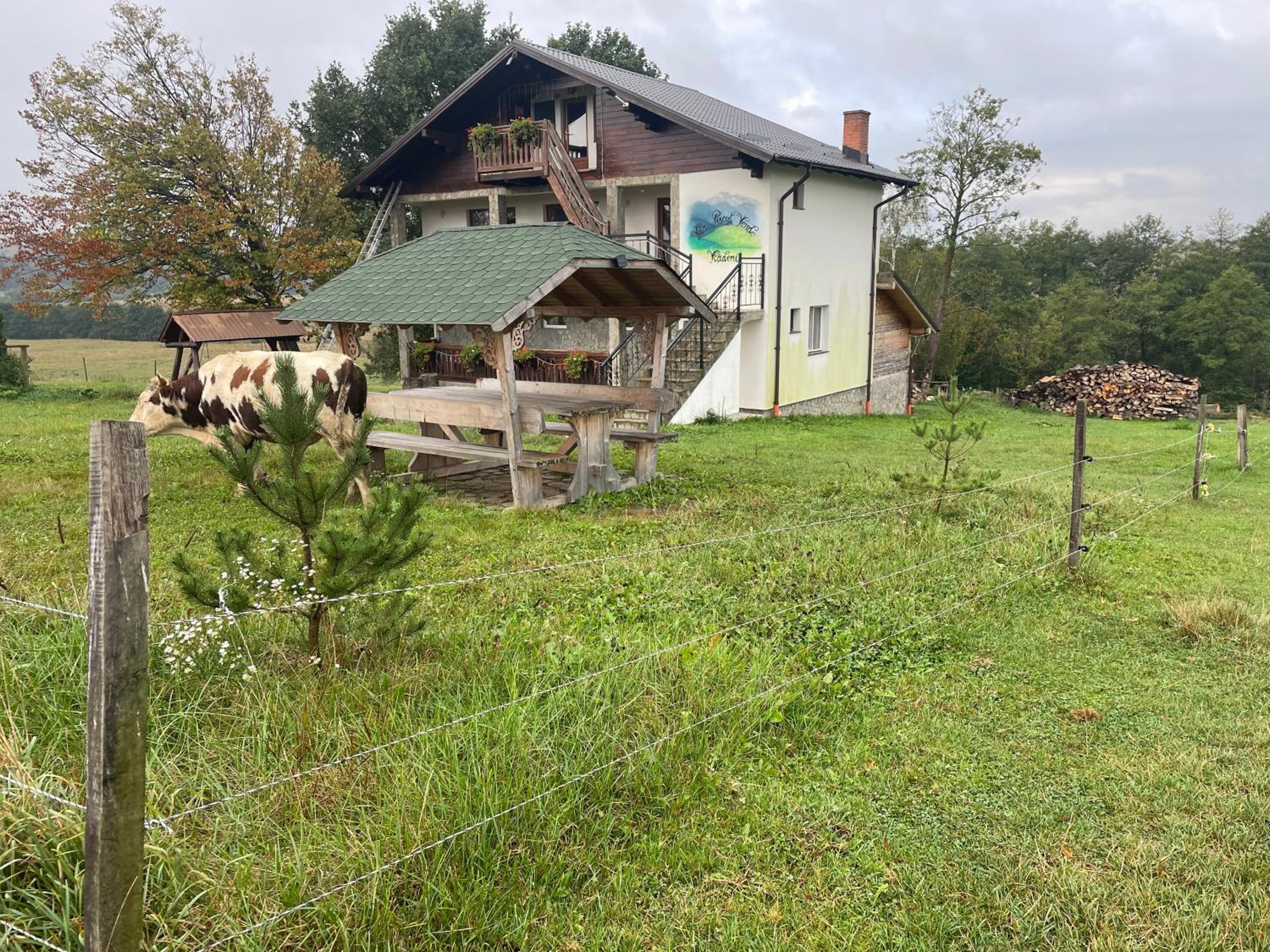 Casa Piscul Verde Vladeni view 3