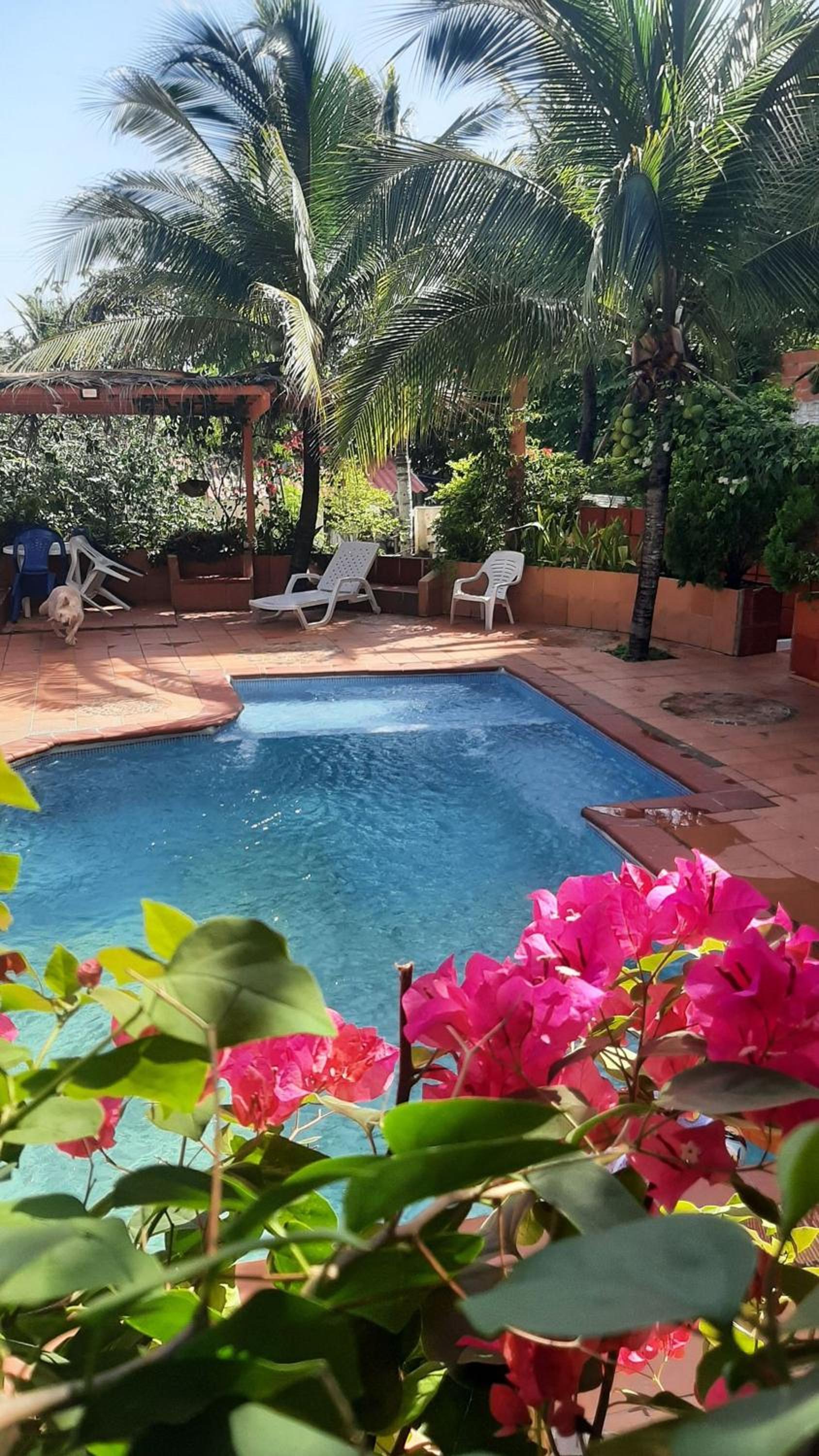 Tropical House Club BnB and Events, Salgar, Puerto Colombia