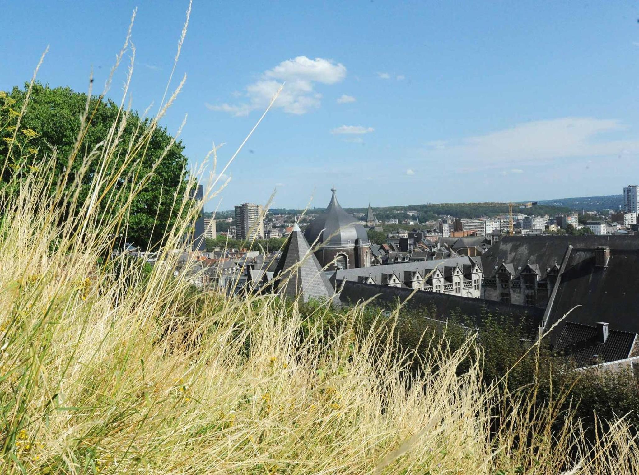 Bonjour Pierreuse