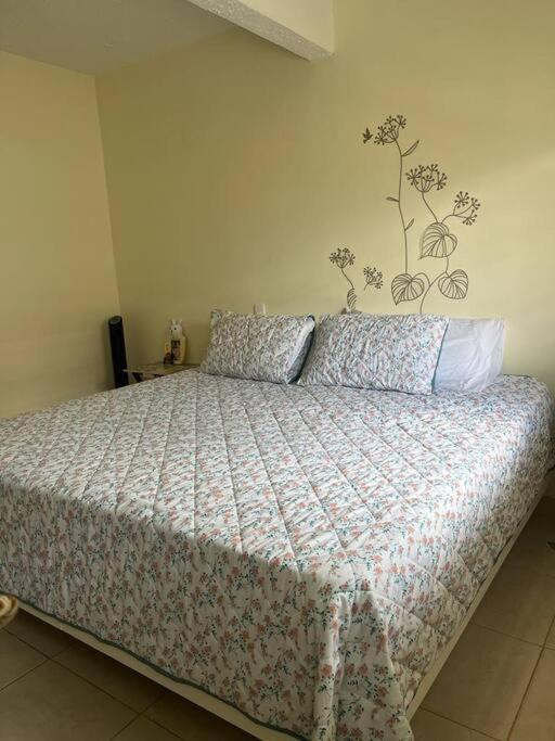 Aparta estudio zona central Ibagué Versalles