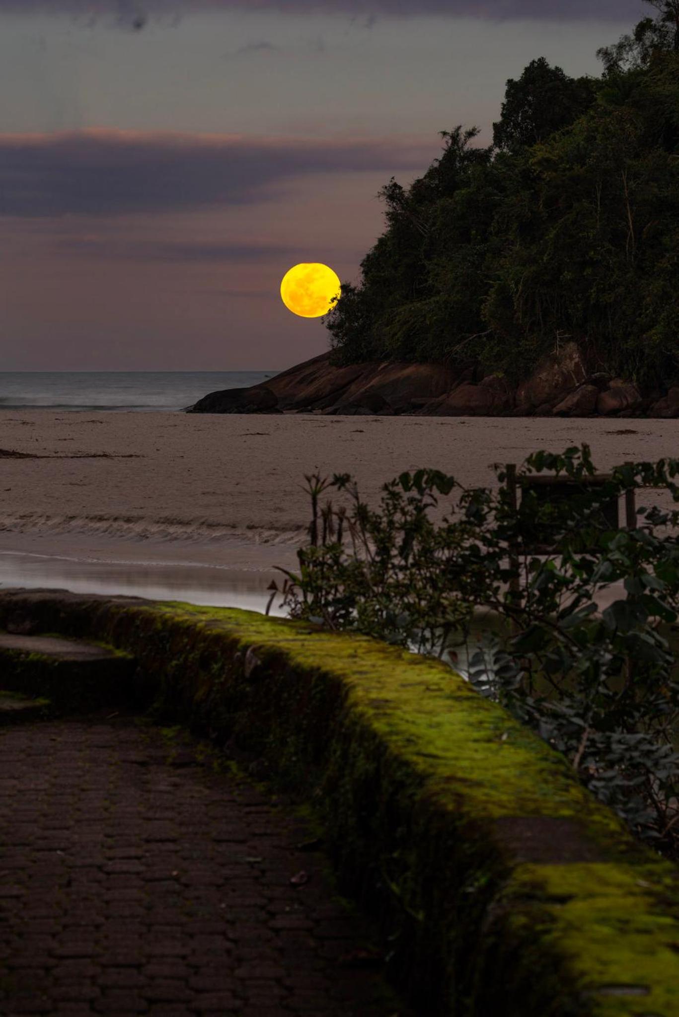 Itamambuca Eco Resort