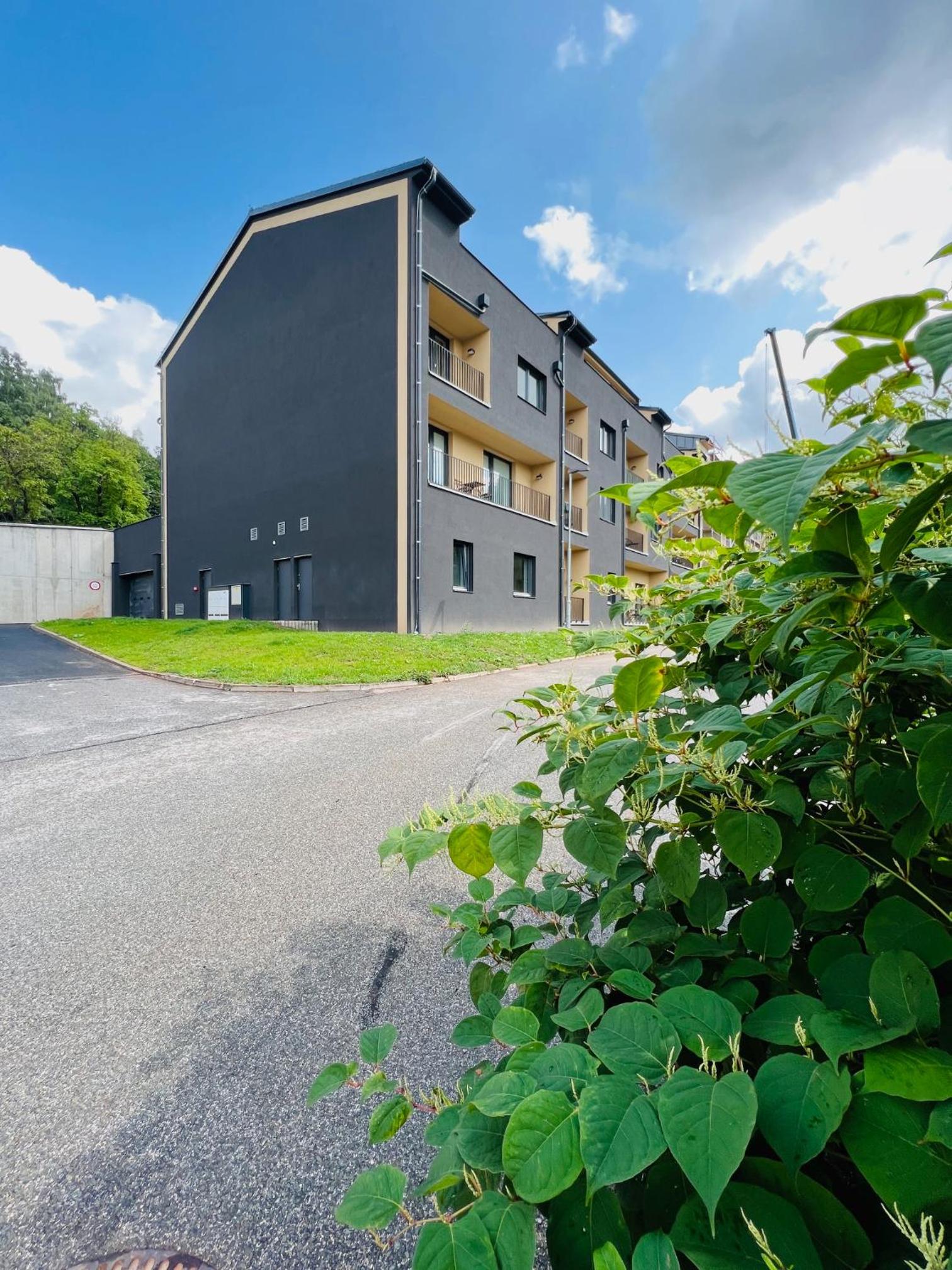 Apartmán Dole v Dole