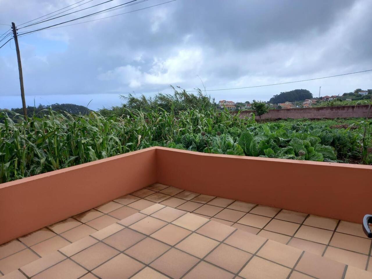 Peaceful place in Porto Moniz view 4