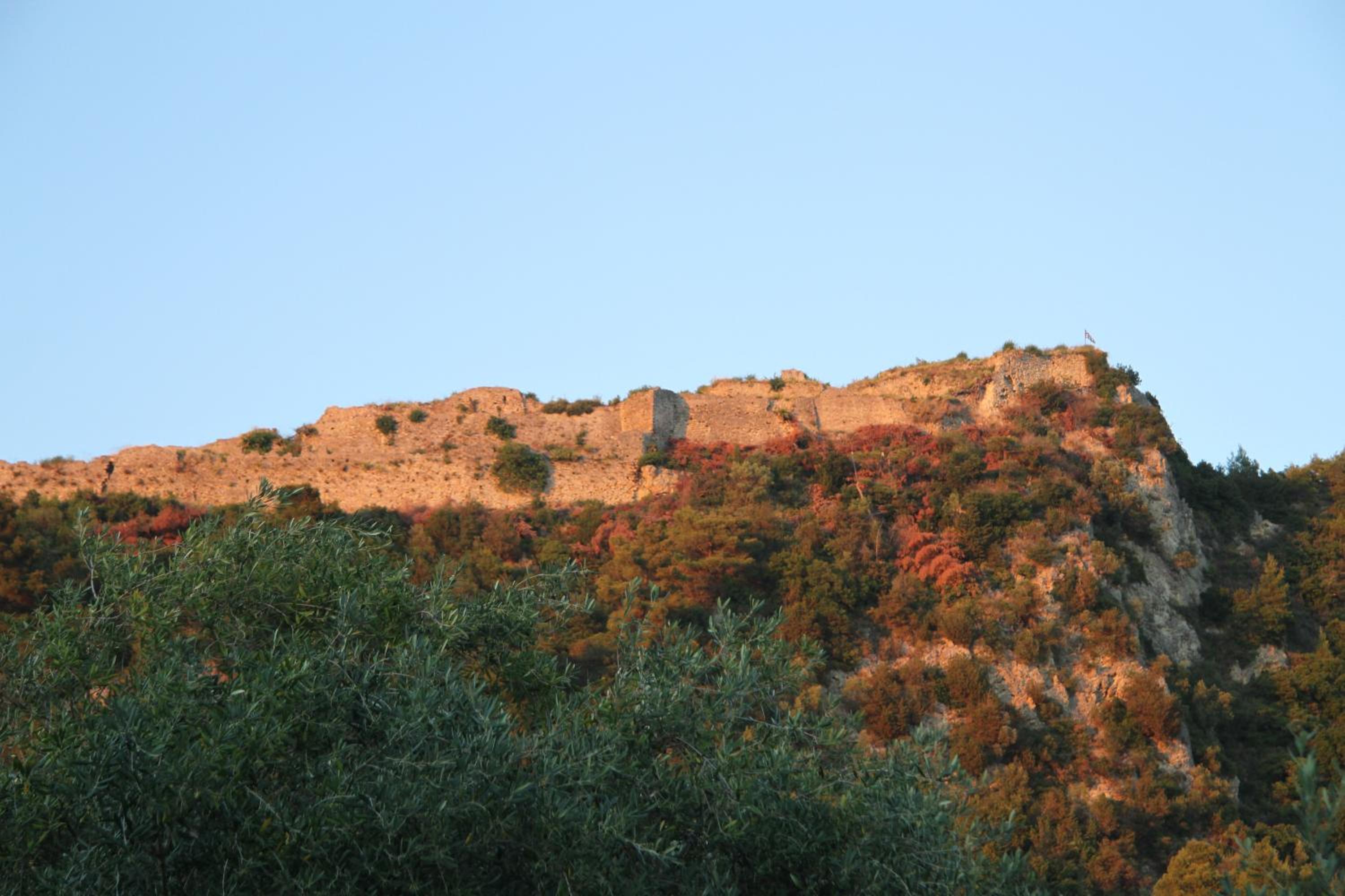 Photo 48