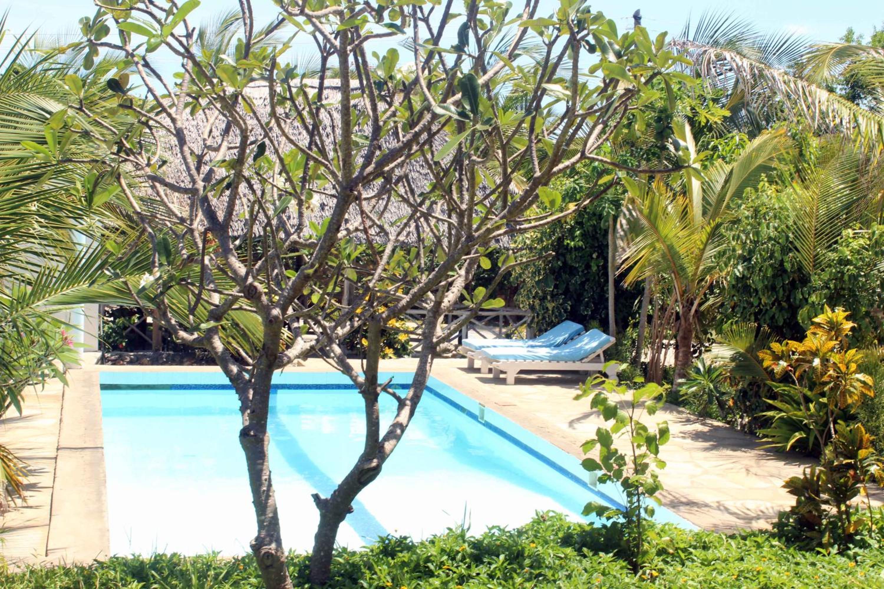 Manasha Watamu