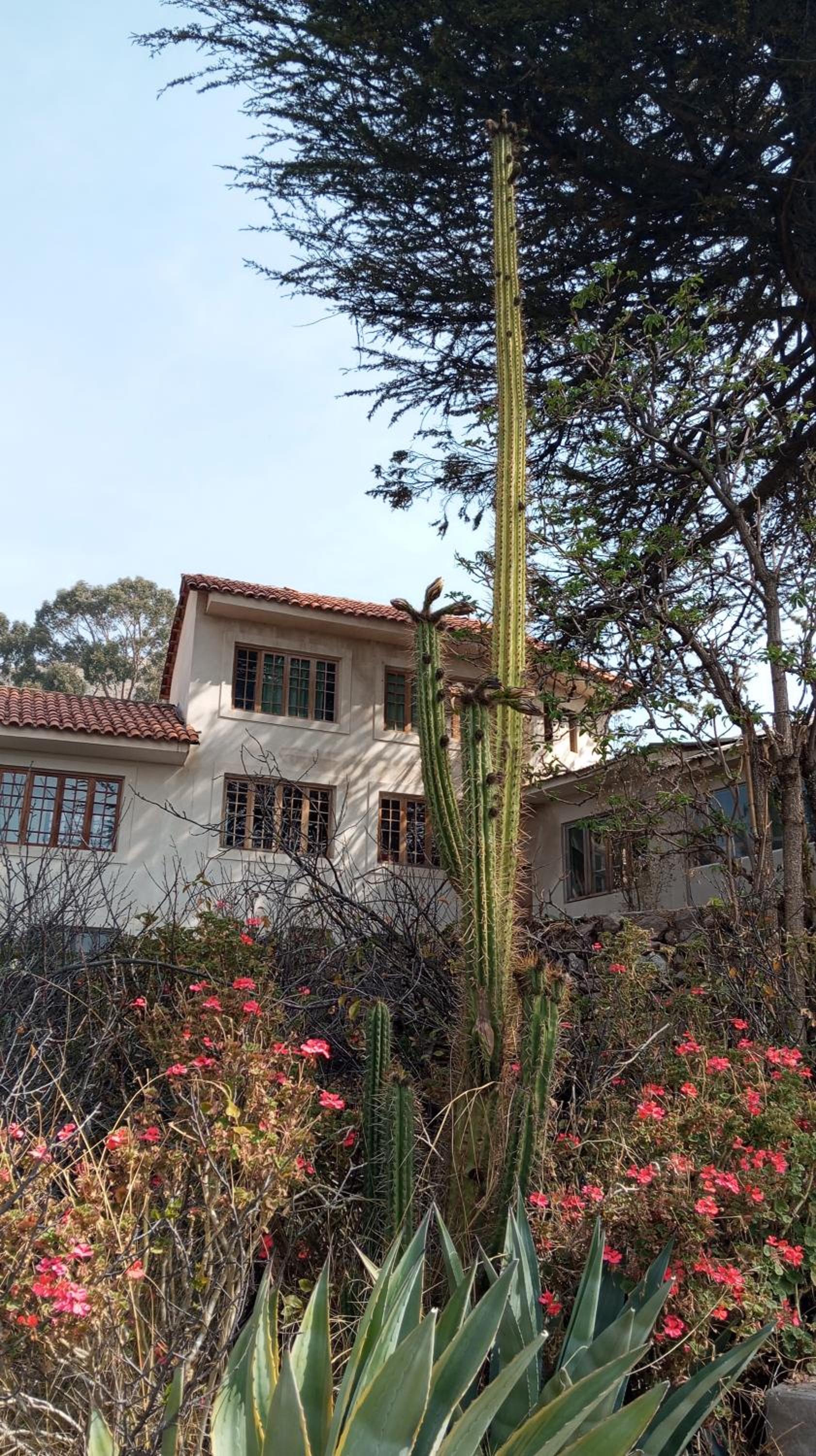 Hostal La Chacarilla