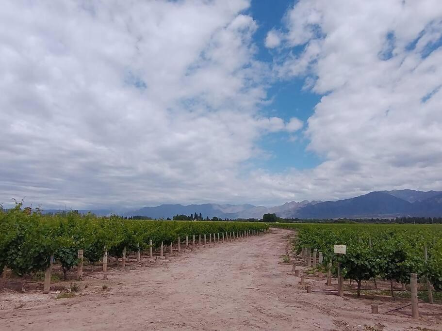 Casa familiar en Los Caminos del Vino.