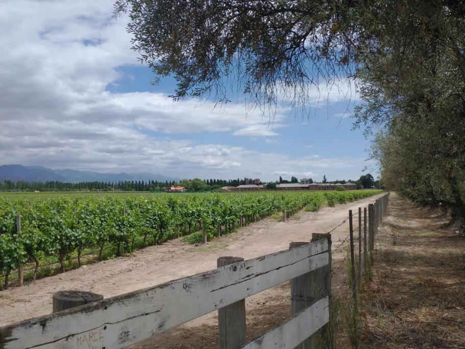 Casa familiar en Los Caminos del Vino.