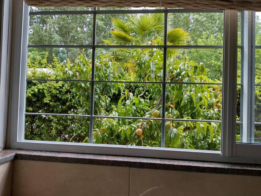 Casa familiar en Los Caminos del Vino.