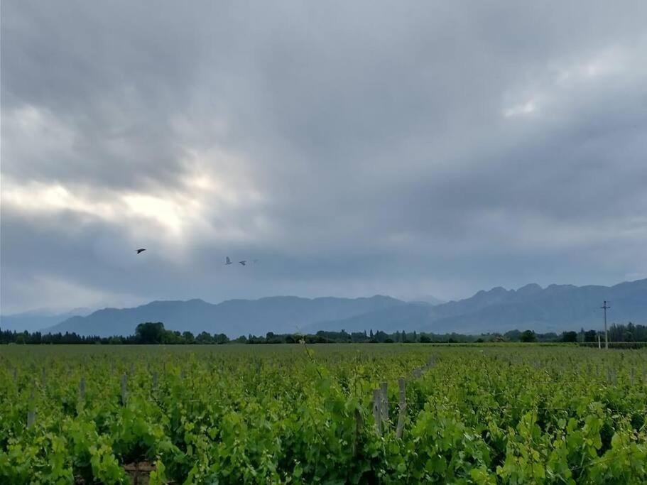 Casa familiar en Los Caminos del Vino.
