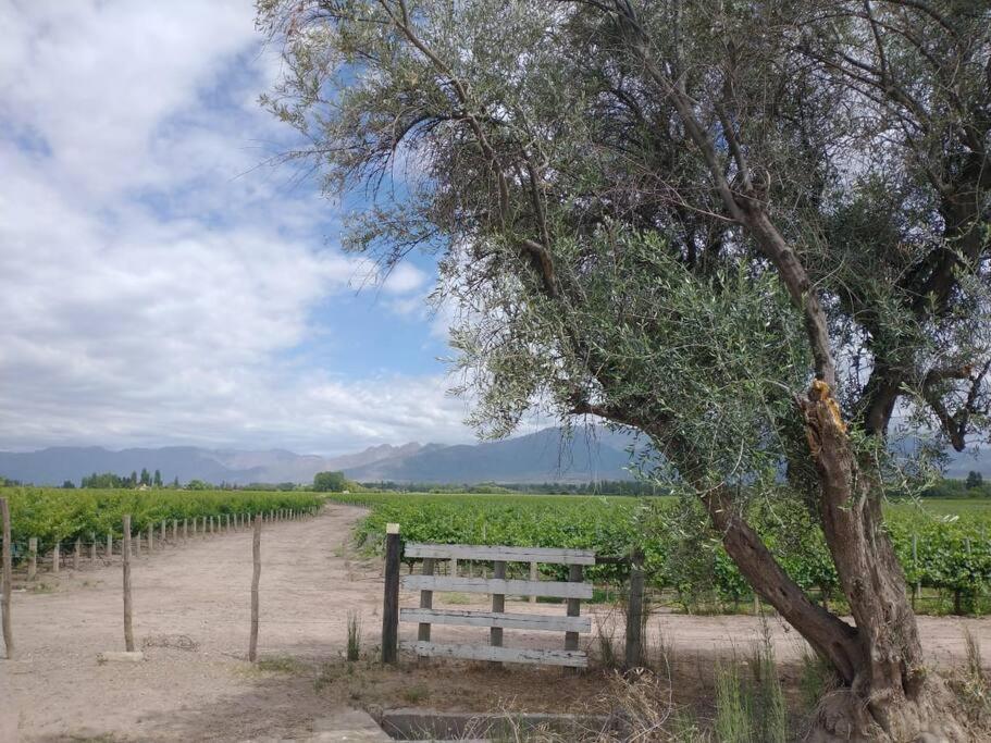 Casa familiar en Los Caminos del Vino.