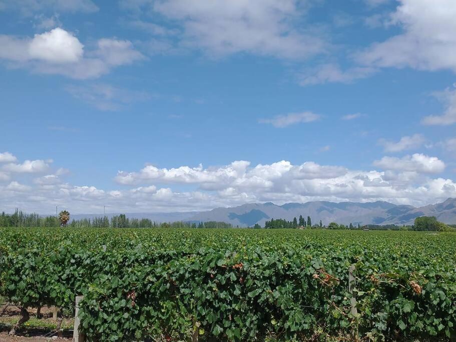 Casa familiar en Los Caminos del Vino.