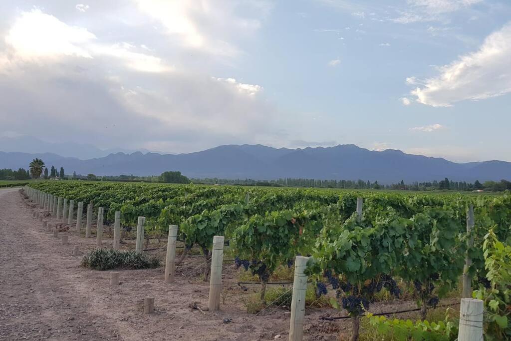 Casa familiar en Los Caminos del Vino.