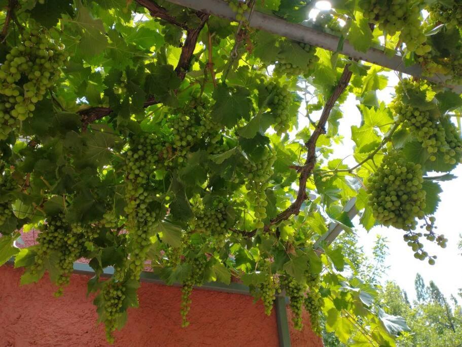 Casa familiar en Los Caminos del Vino.