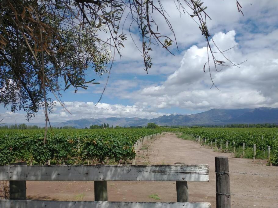 Casa familiar en Los Caminos del Vino.