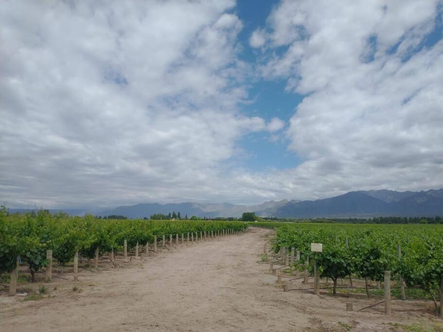 Casa familiar en Los Caminos del Vino.