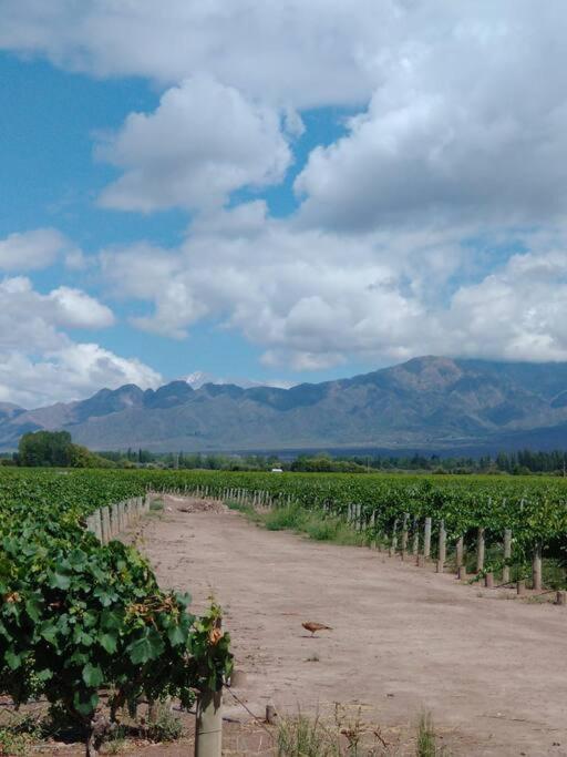 Casa familiar en Los Caminos del Vino.