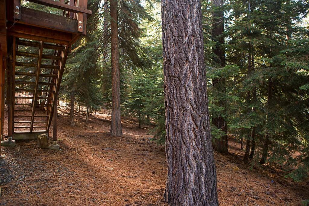 Lake Tahoe Vacations - Big Luxury South Lake Tahoe Home - Property Image 39