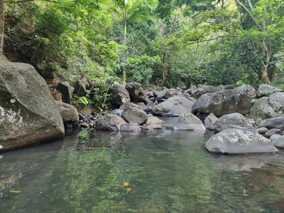 L'ilet Paradise, photo 26