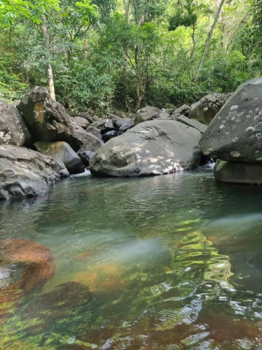 L'ilet Paradise, photo 44