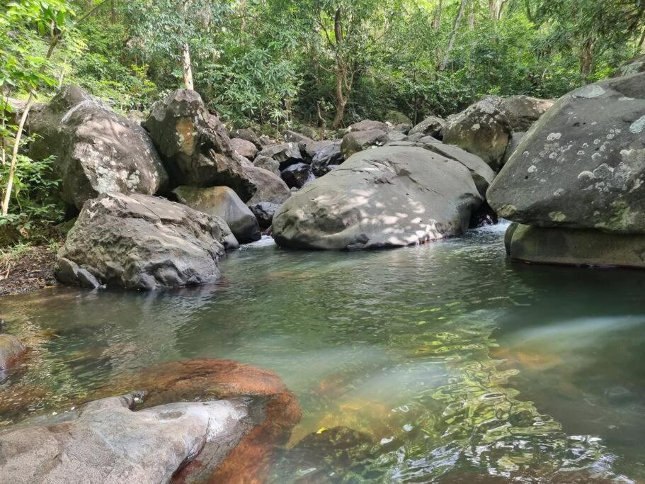 L'ilet Paradise, photo 20