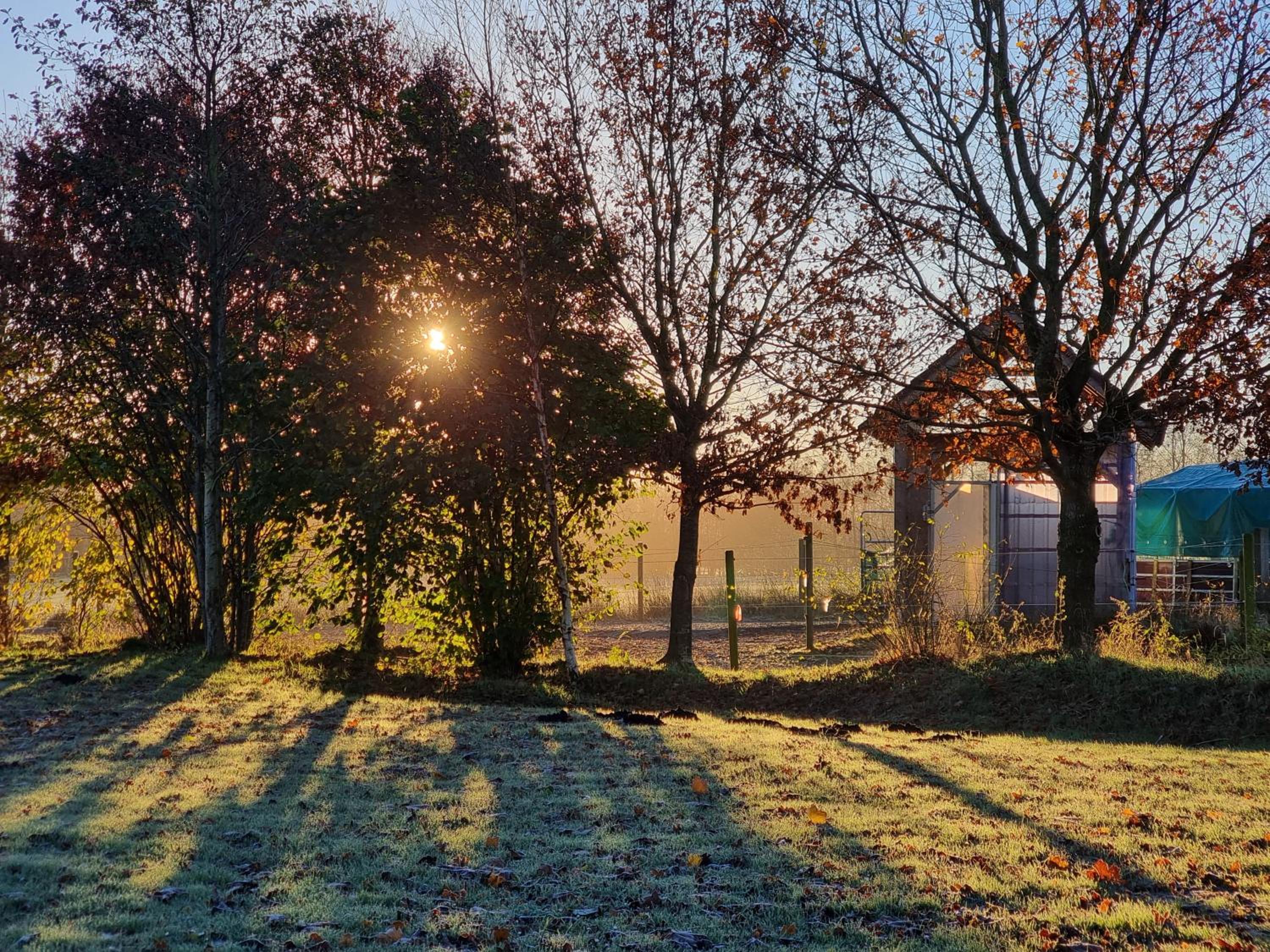 Photo 42