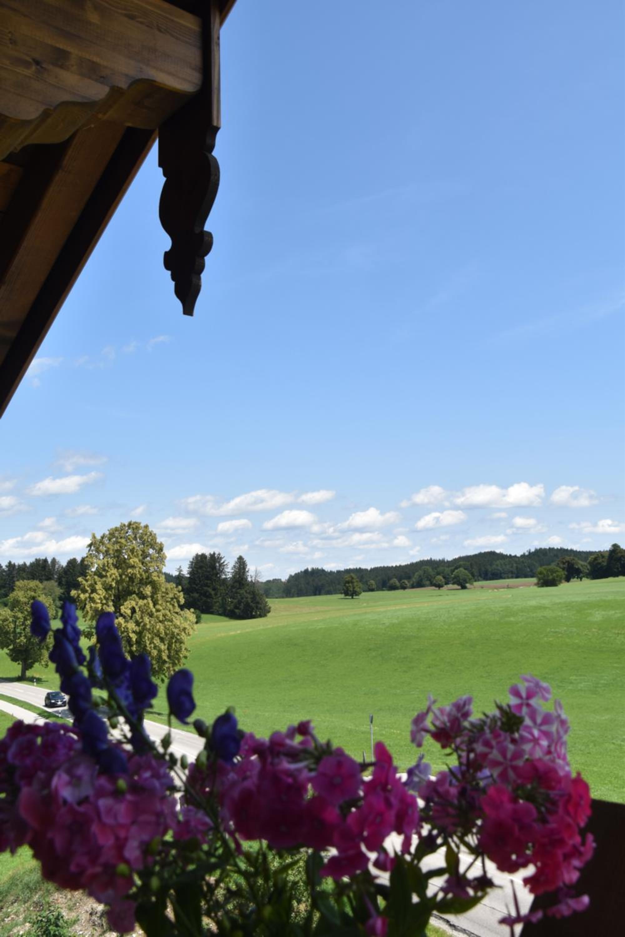 Ferienwohnung beim Hainz