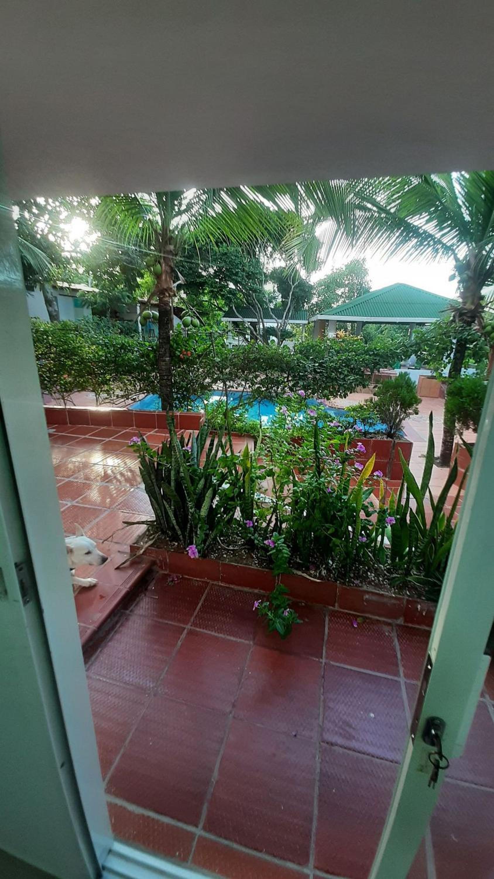 Tropical House Club BnB and Events, Salgar, Puerto Colombia